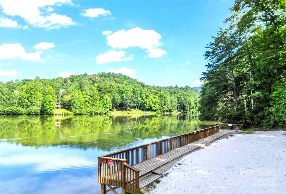 0 Buzzards Place Lake Lure NC 28746