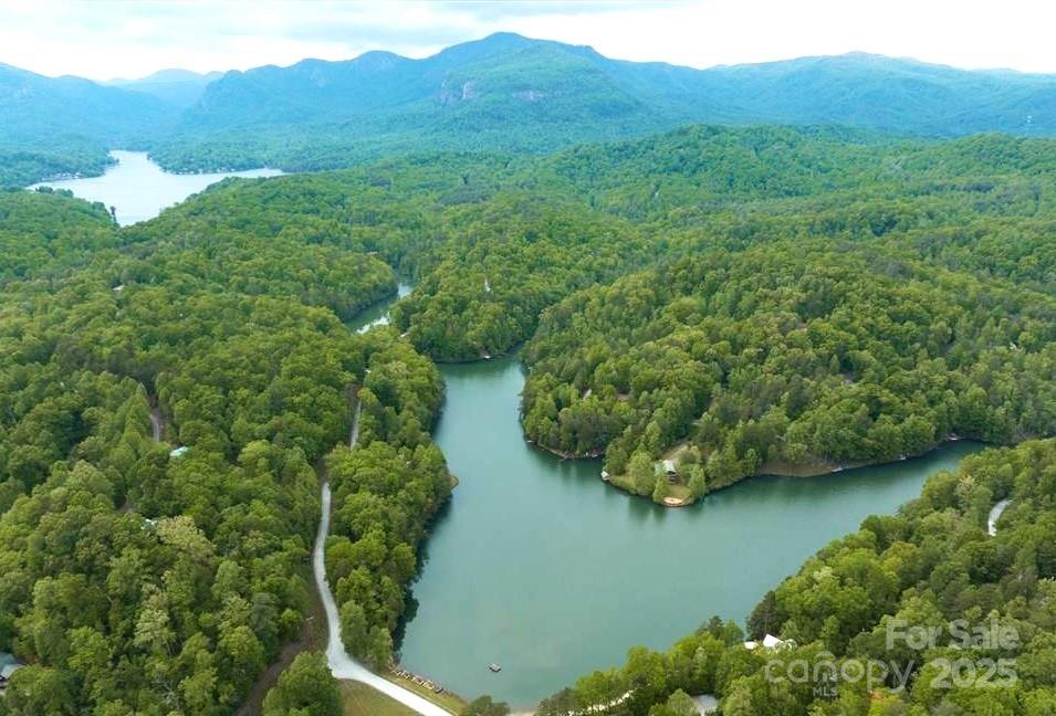 0 Buzzards Place Lake Lure NC 28746