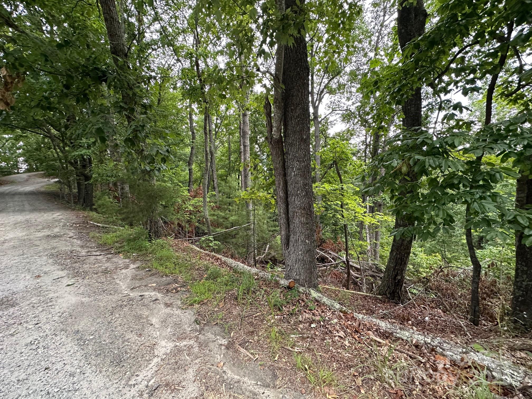 0 Buzzards Place Lake Lure NC 28746