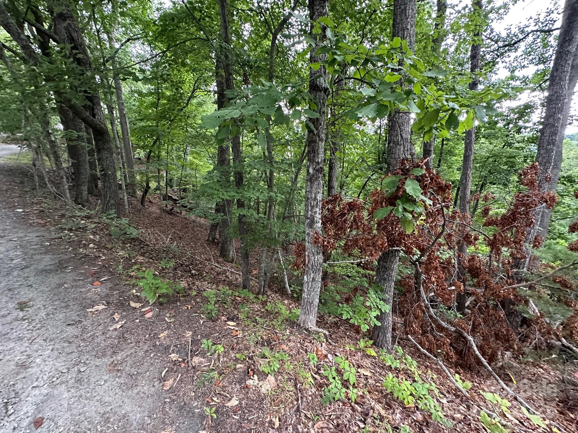 0 Buzzards Place Lake Lure NC 28746