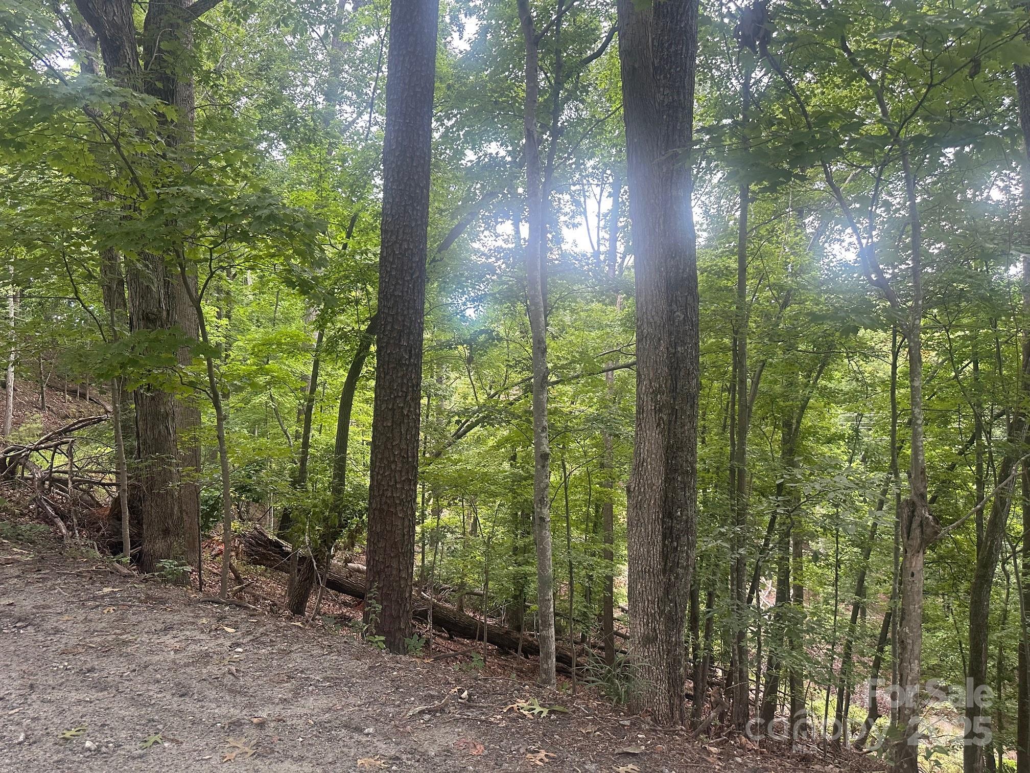 0 Buzzards Place Lake Lure NC 28746