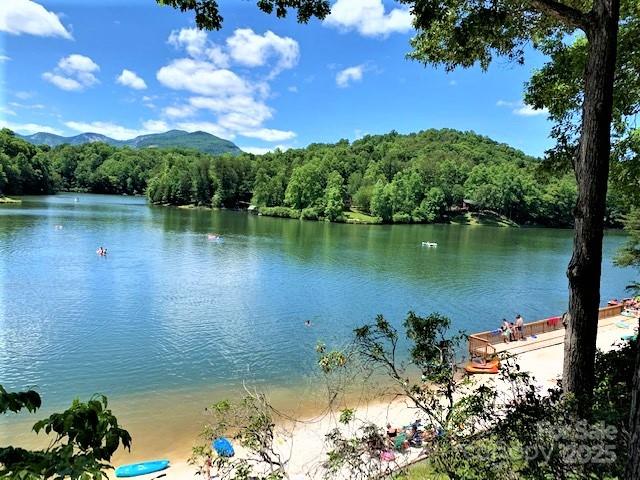 0 Buzzards Place Lake Lure NC 28746
