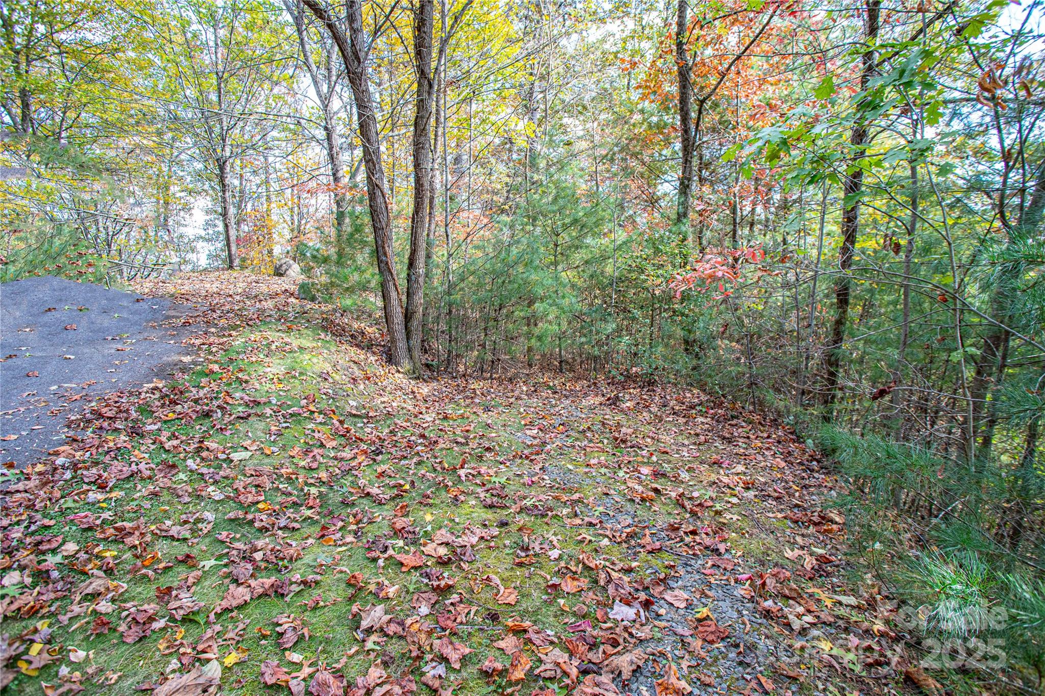 Tbd High Point Trail Brevard NC 28712