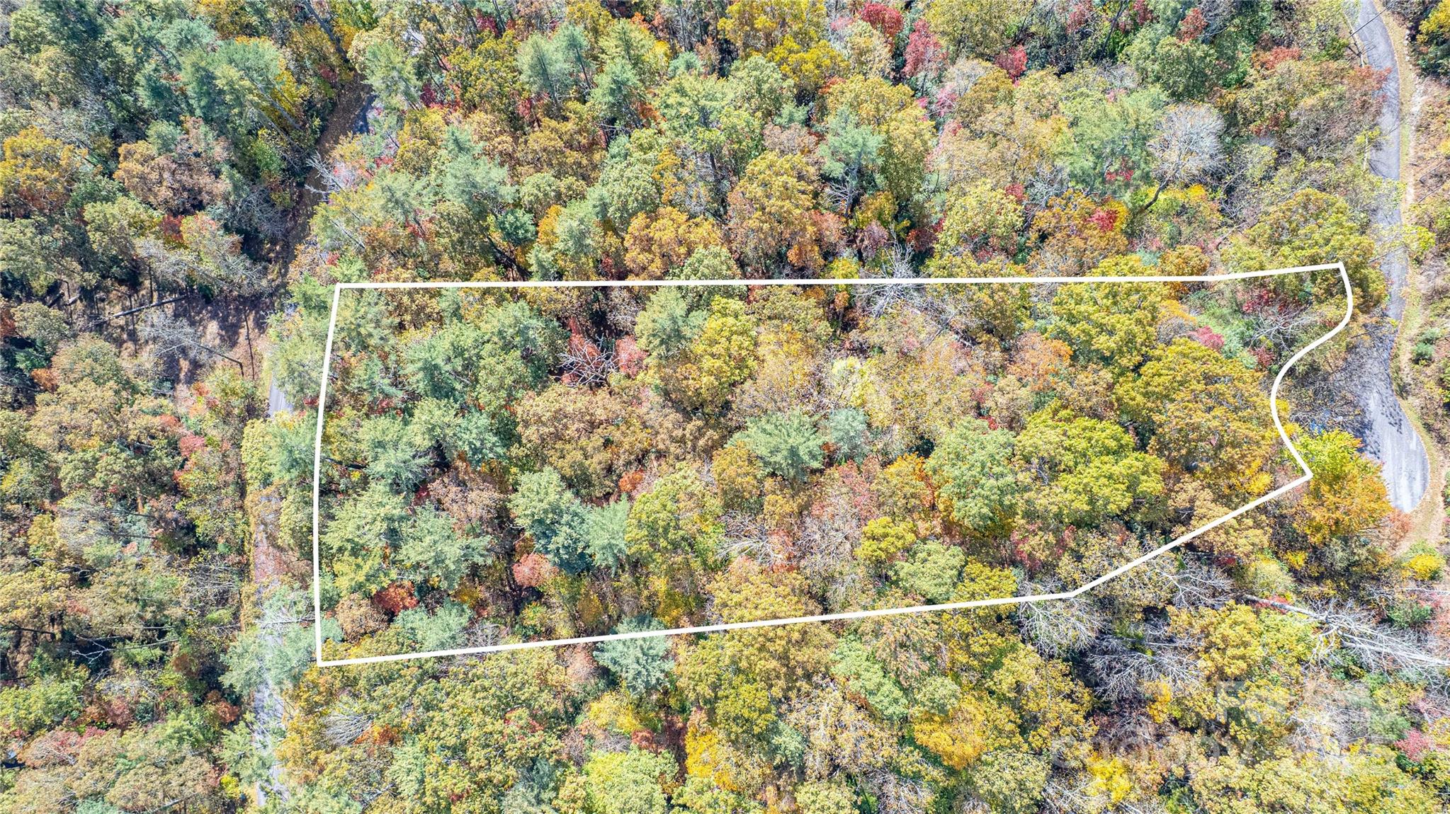 Tbd High Point Trail Brevard NC 28712