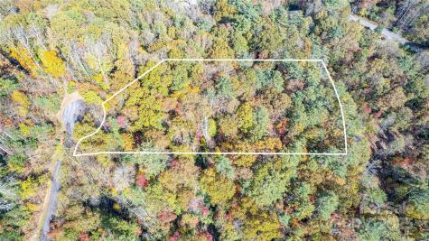 Tbd High Point Trail Brevard NC 28712