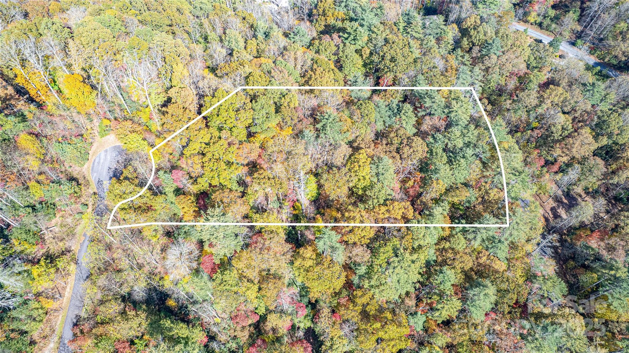 Tbd High Point Trail Brevard NC 28712