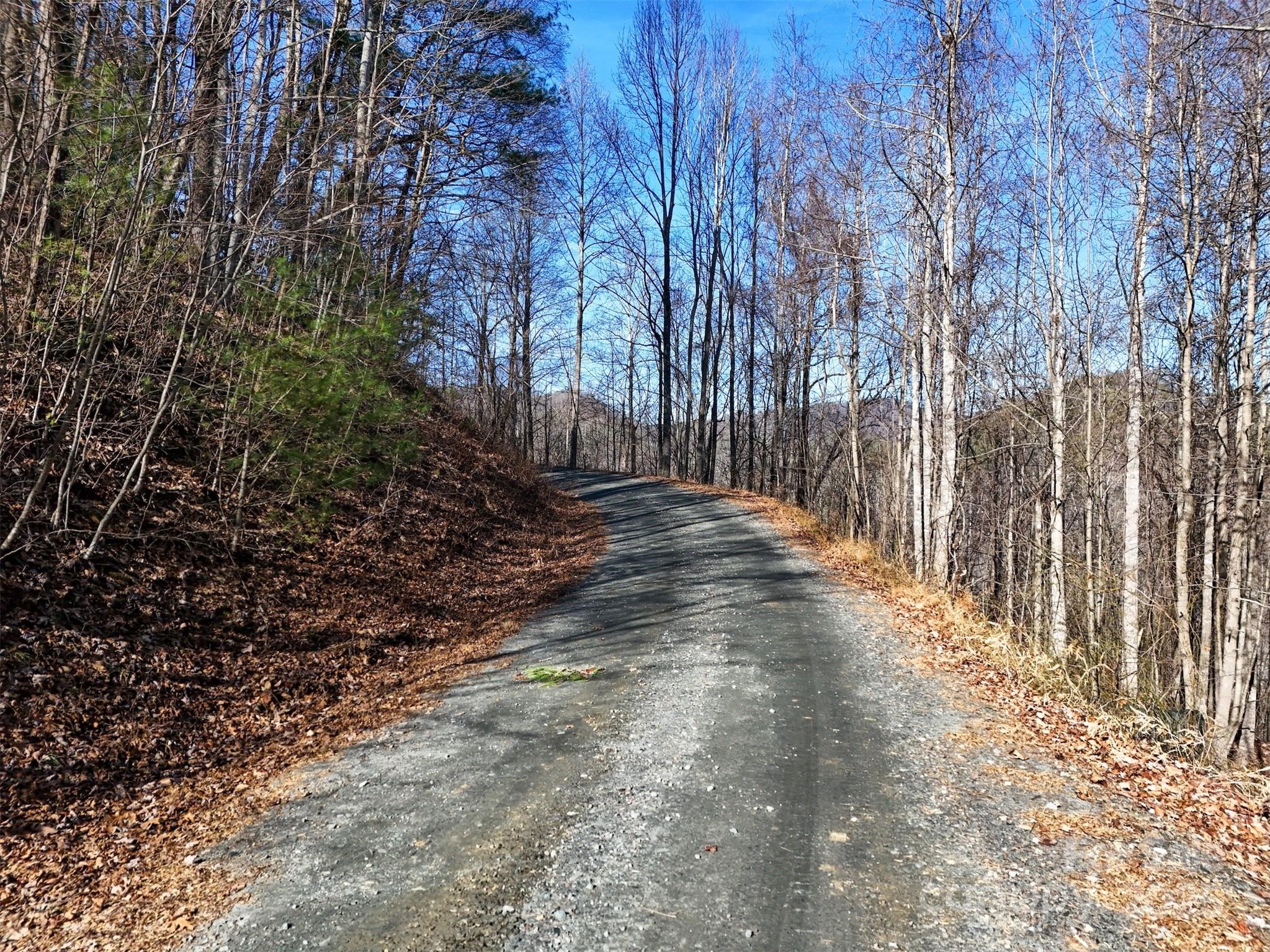 9999 Vacation Way Millers Creek NC 28651