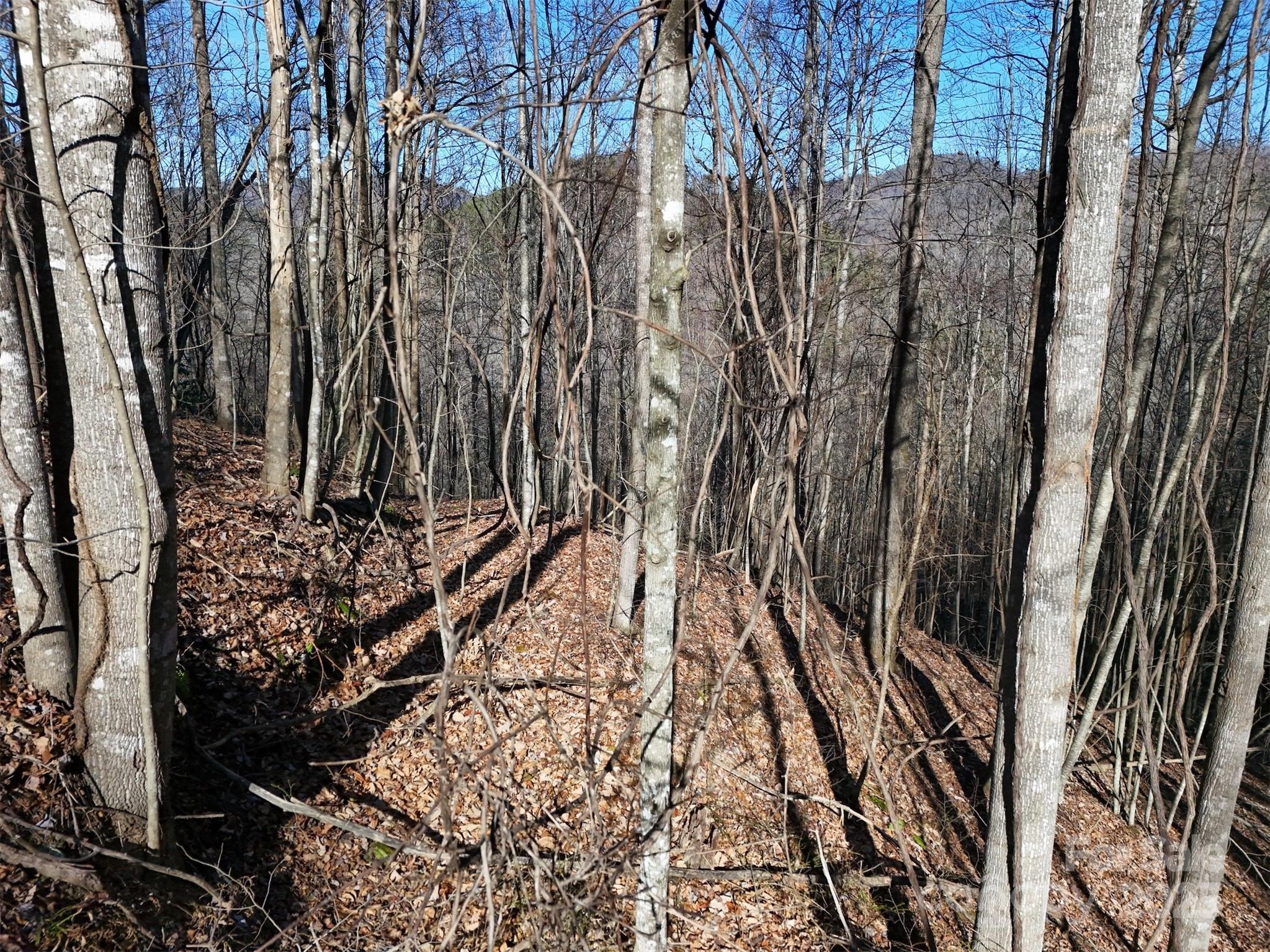 9999 Vacation Way Millers Creek NC 28651