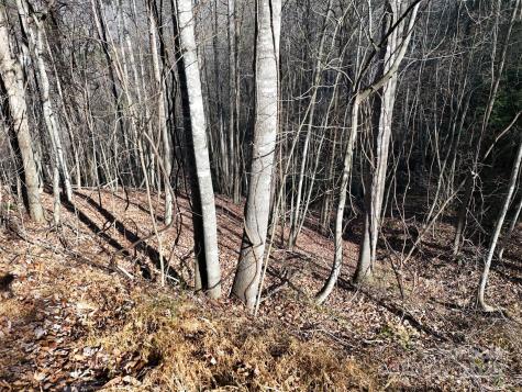 9999 Vacation Way Millers Creek NC 28651