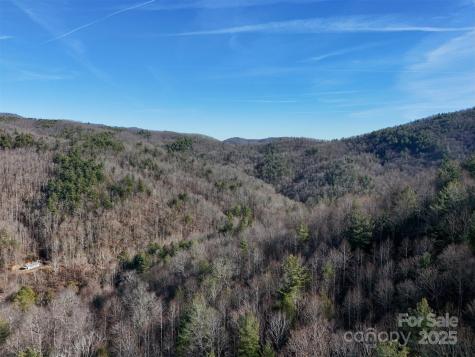 9999 Vacation Way Millers Creek NC 28651