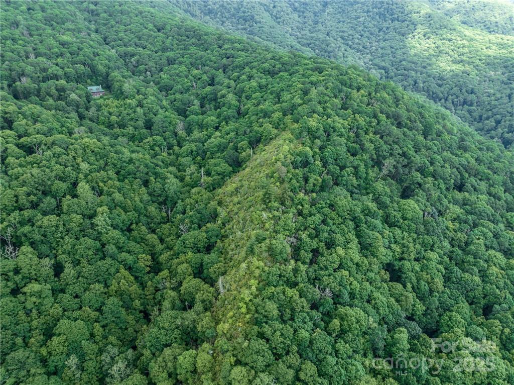 99999 Parris Branch Road Sylva NC 28799
