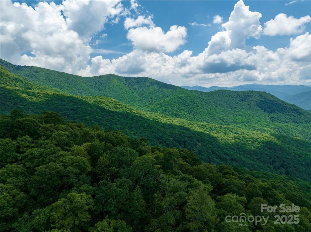 99999 Parris Branch Road Sylva NC 28799