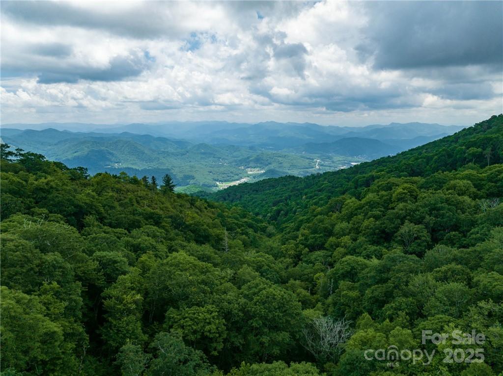 99999 Parris Branch Road Sylva NC 28799