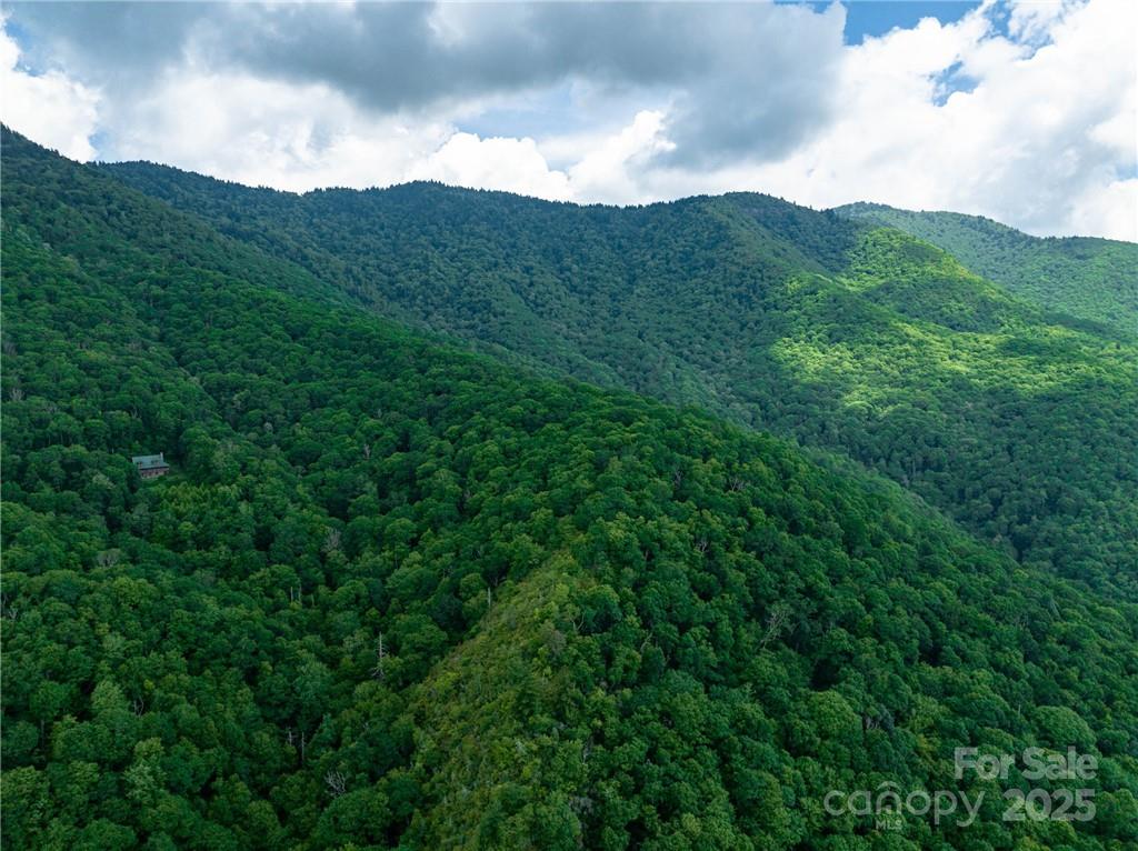 99999 Parris Branch Road Sylva NC 28799