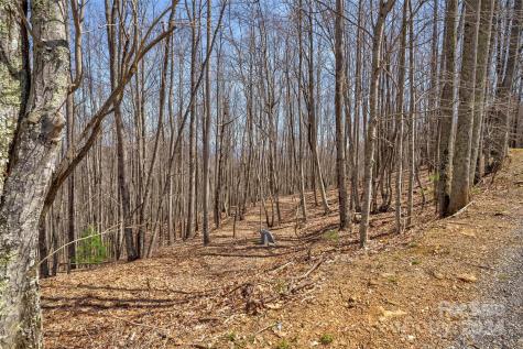 1316 Double Knob Drive Arden NC 28704