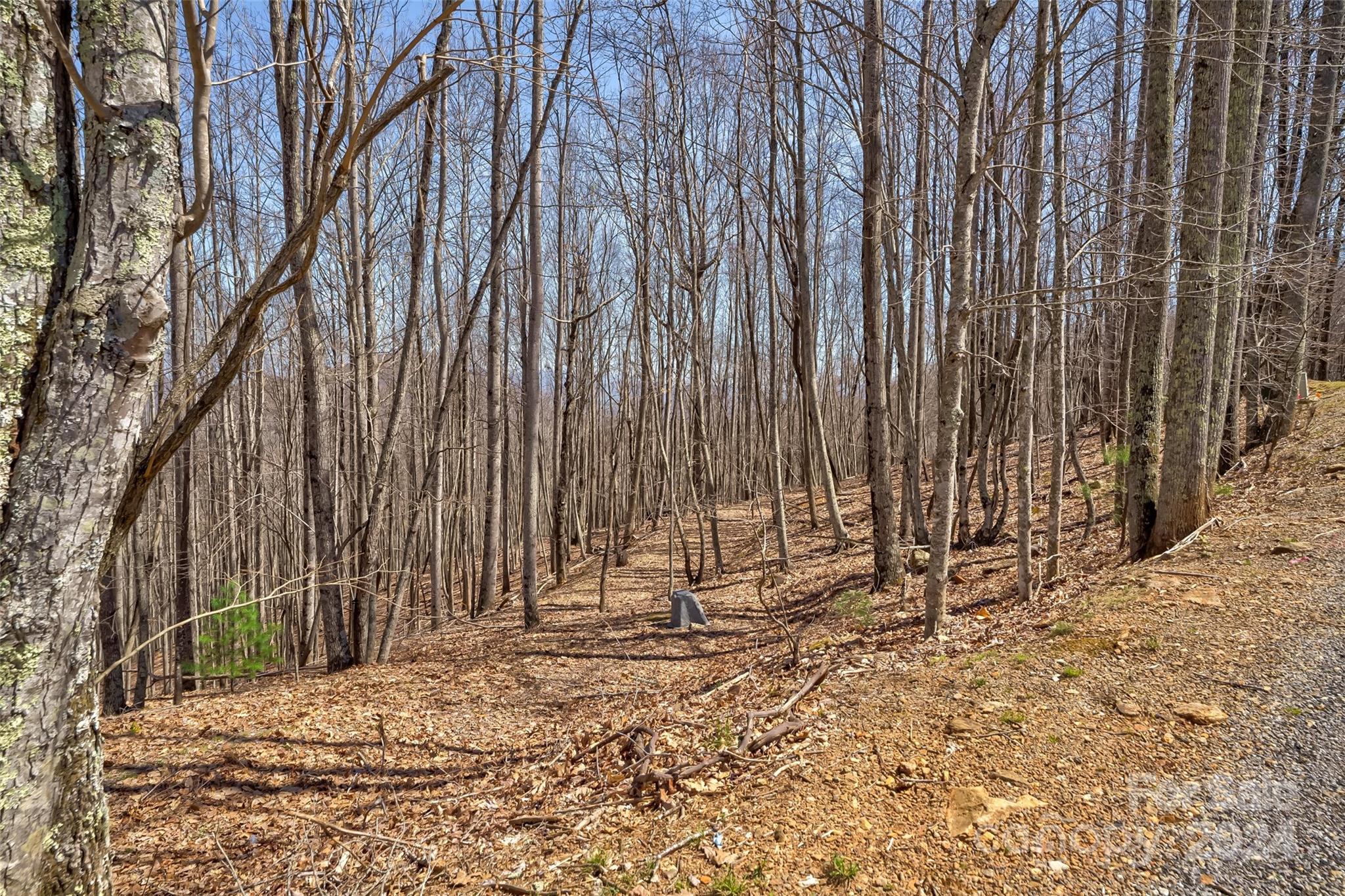 1316 Double Knob Drive Arden NC 28704