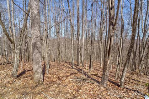 1316 Double Knob Drive Arden NC 28704