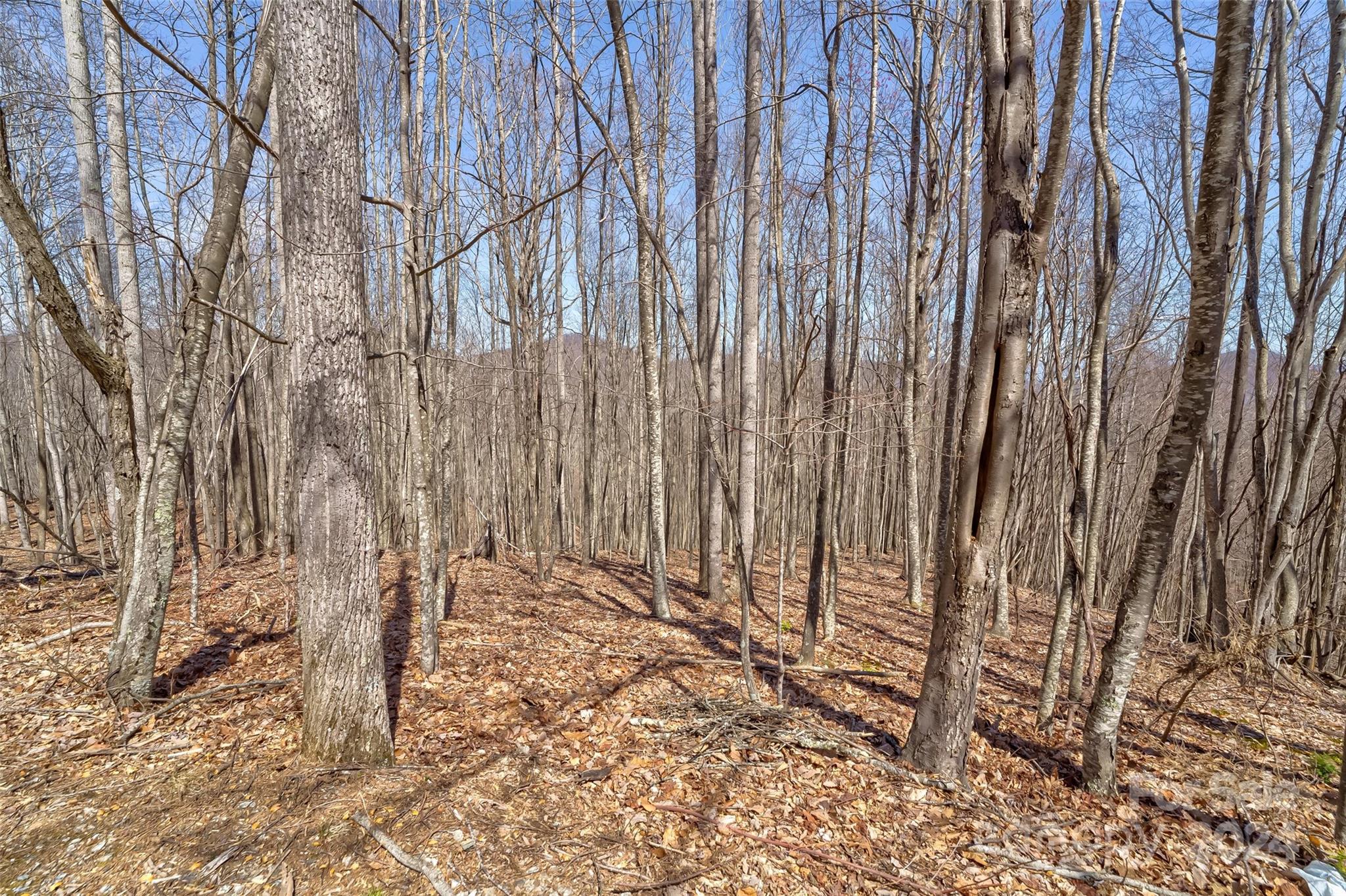1316 Double Knob Drive Arden NC 28704