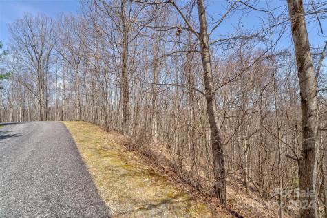 1316 Double Knob Drive Arden NC 28704