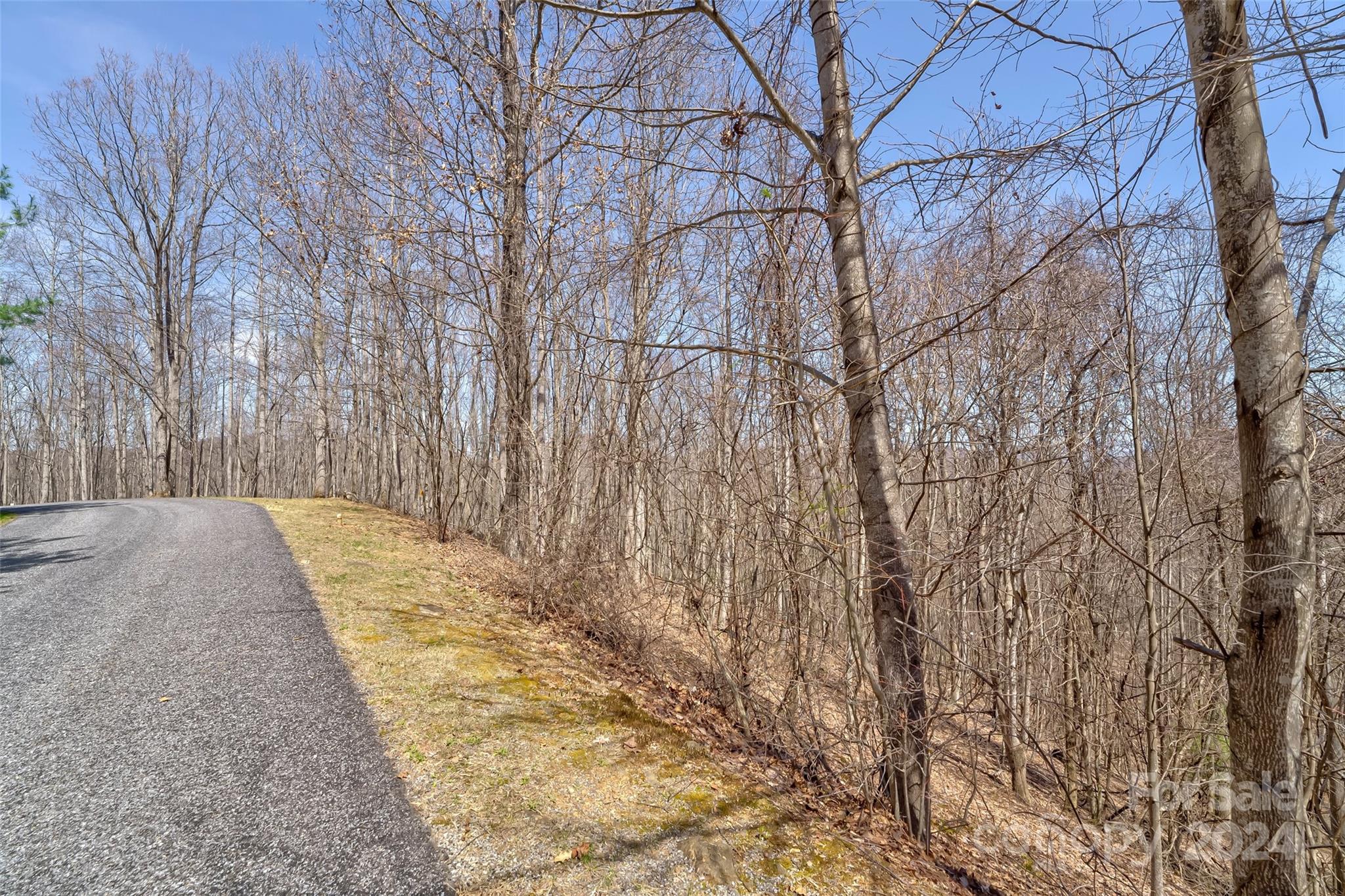 1316 Double Knob Drive Arden NC 28704