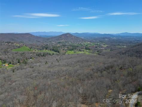 1316 Double Knob Drive Arden NC 28704