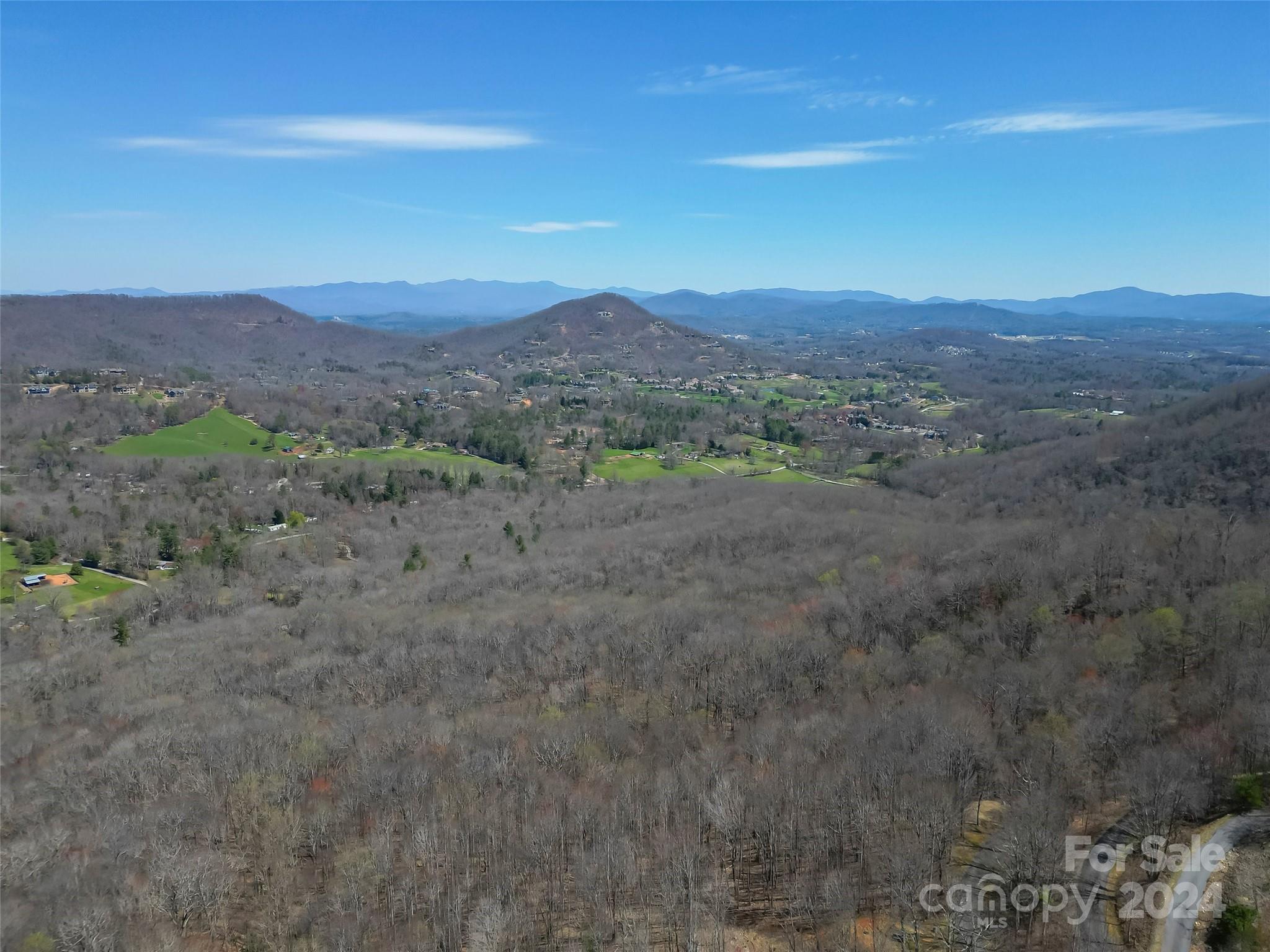 1316 Double Knob Drive Arden NC 28704