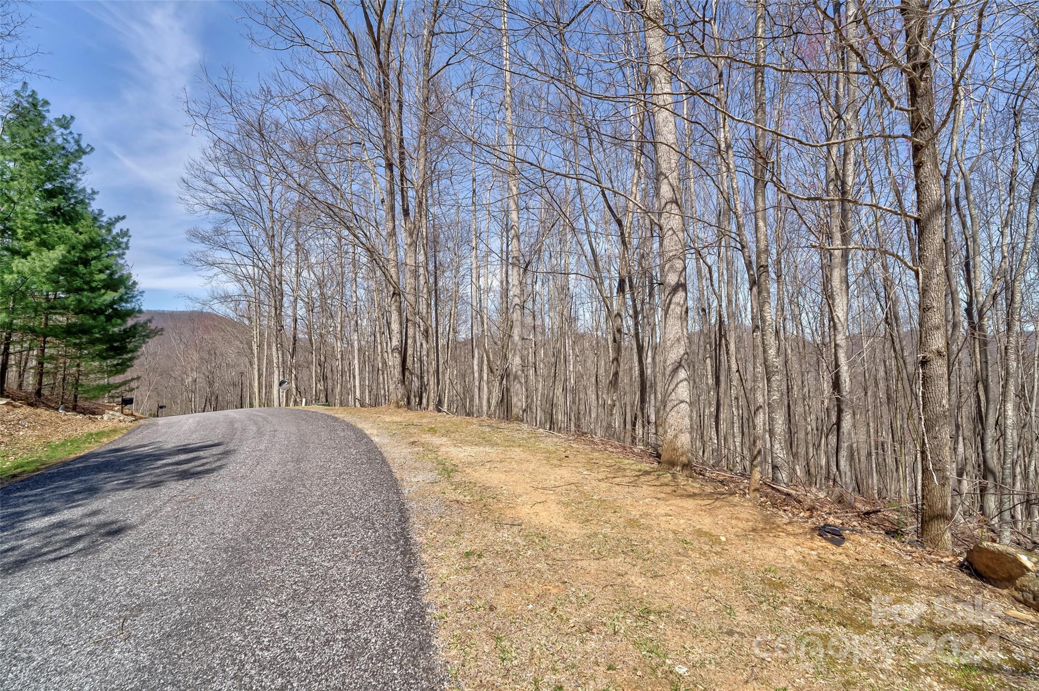 1316 Double Knob Drive Arden NC 28704