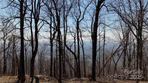 1.1 Acre Blockaders Den Road Columbus NC 28722