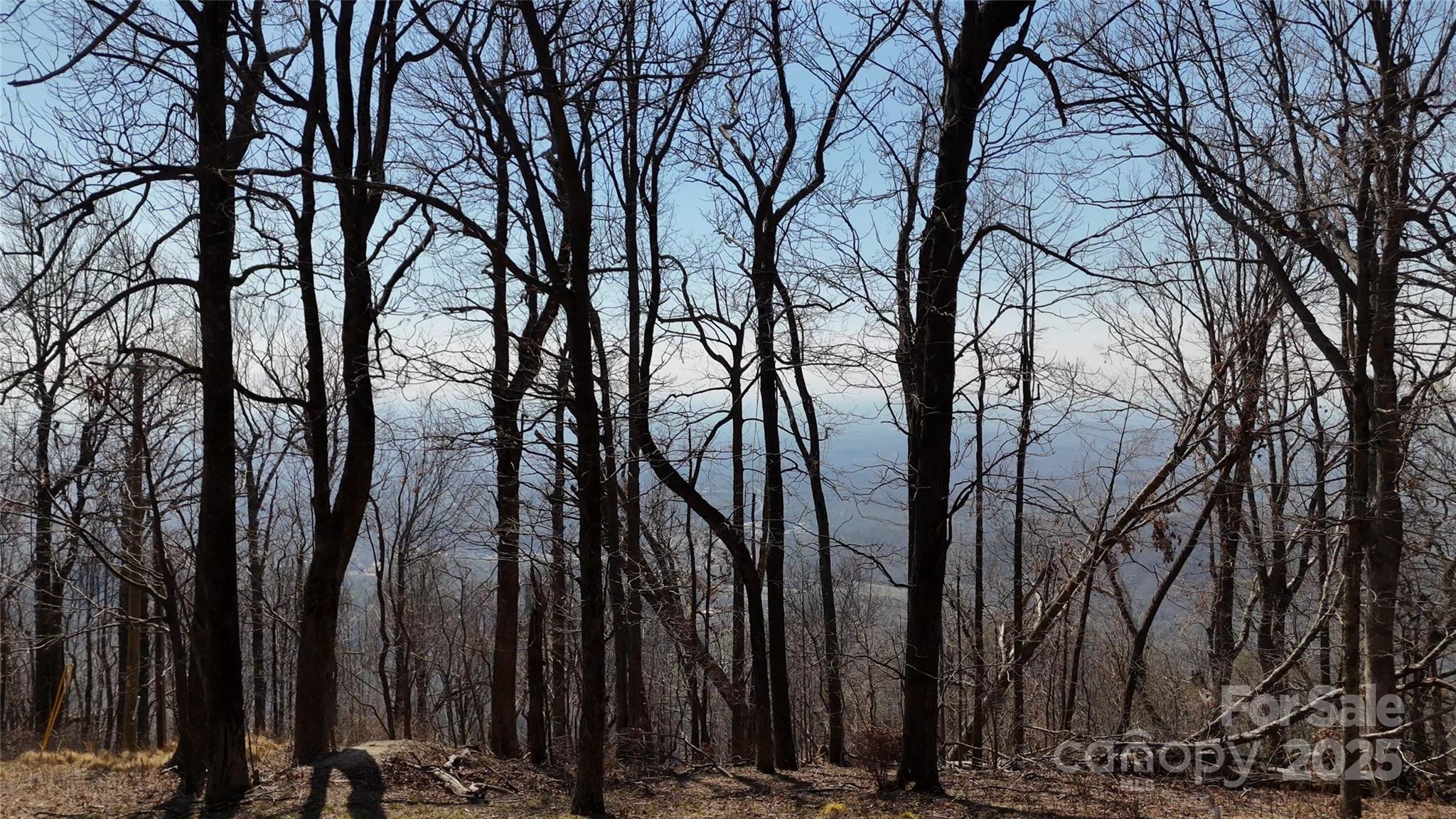 1.1 Acre Blockaders Den Road Columbus NC 28722