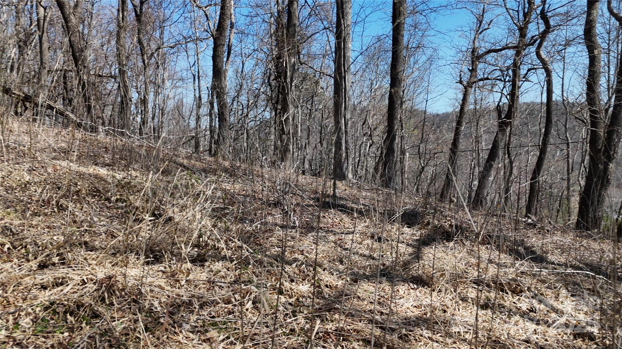 1.1 Acre Blockaders Den Road Columbus NC 28722