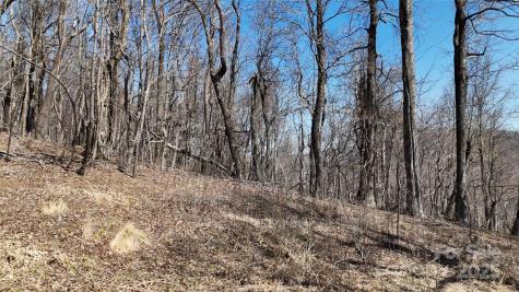 1.1 Acre Blockaders Den Road Columbus NC 28722