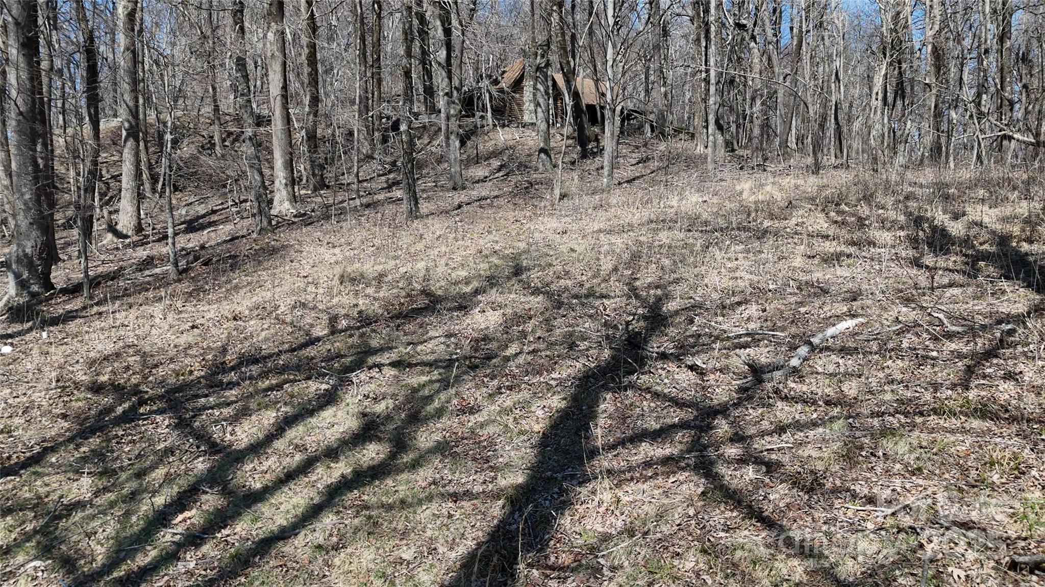 1.1 Acre Blockaders Den Road Columbus NC 28722