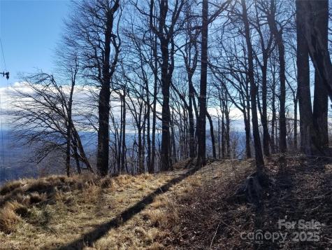 1.1 Acre Blockaders Den Road Columbus NC 28722