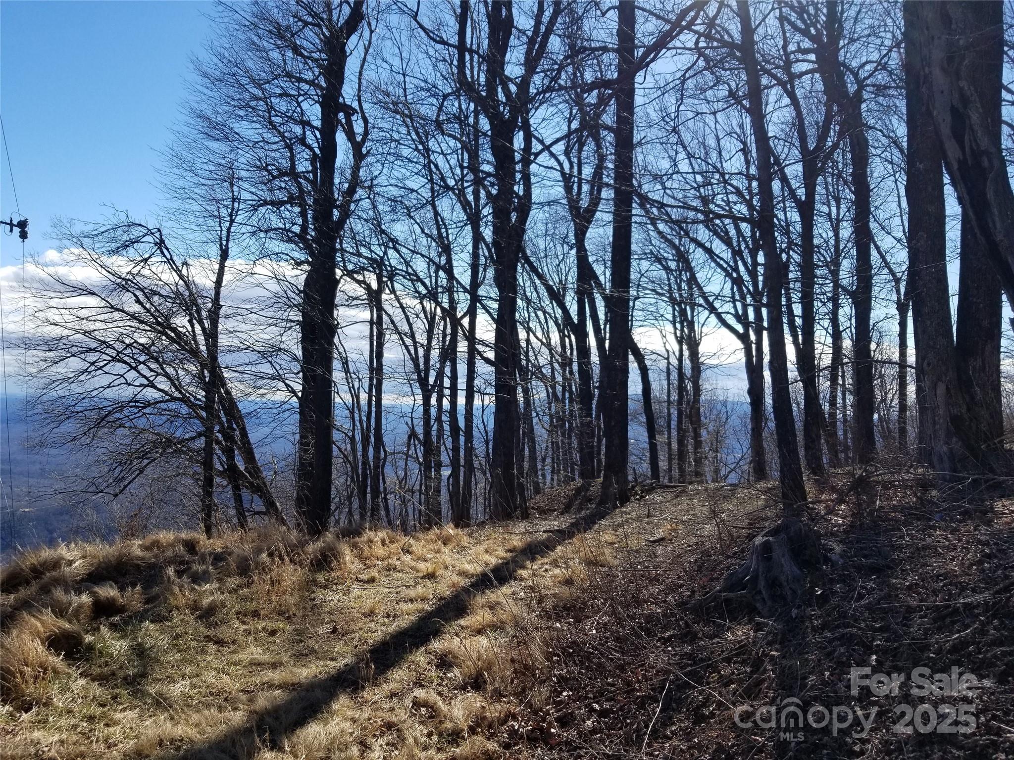 1.1 Acre Blockaders Den Road Columbus NC 28722