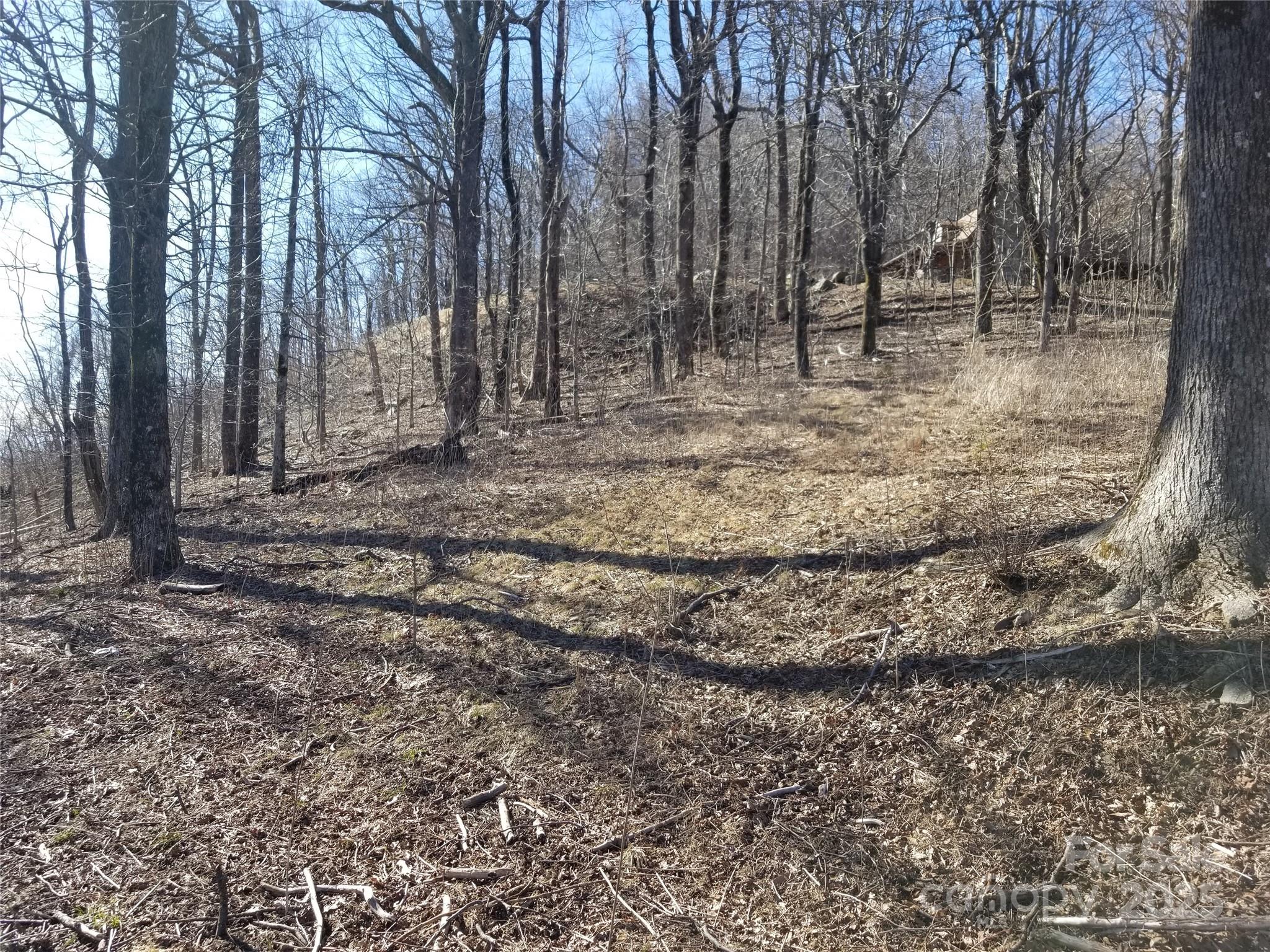 1.1 Acre Blockaders Den Road Columbus NC 28722