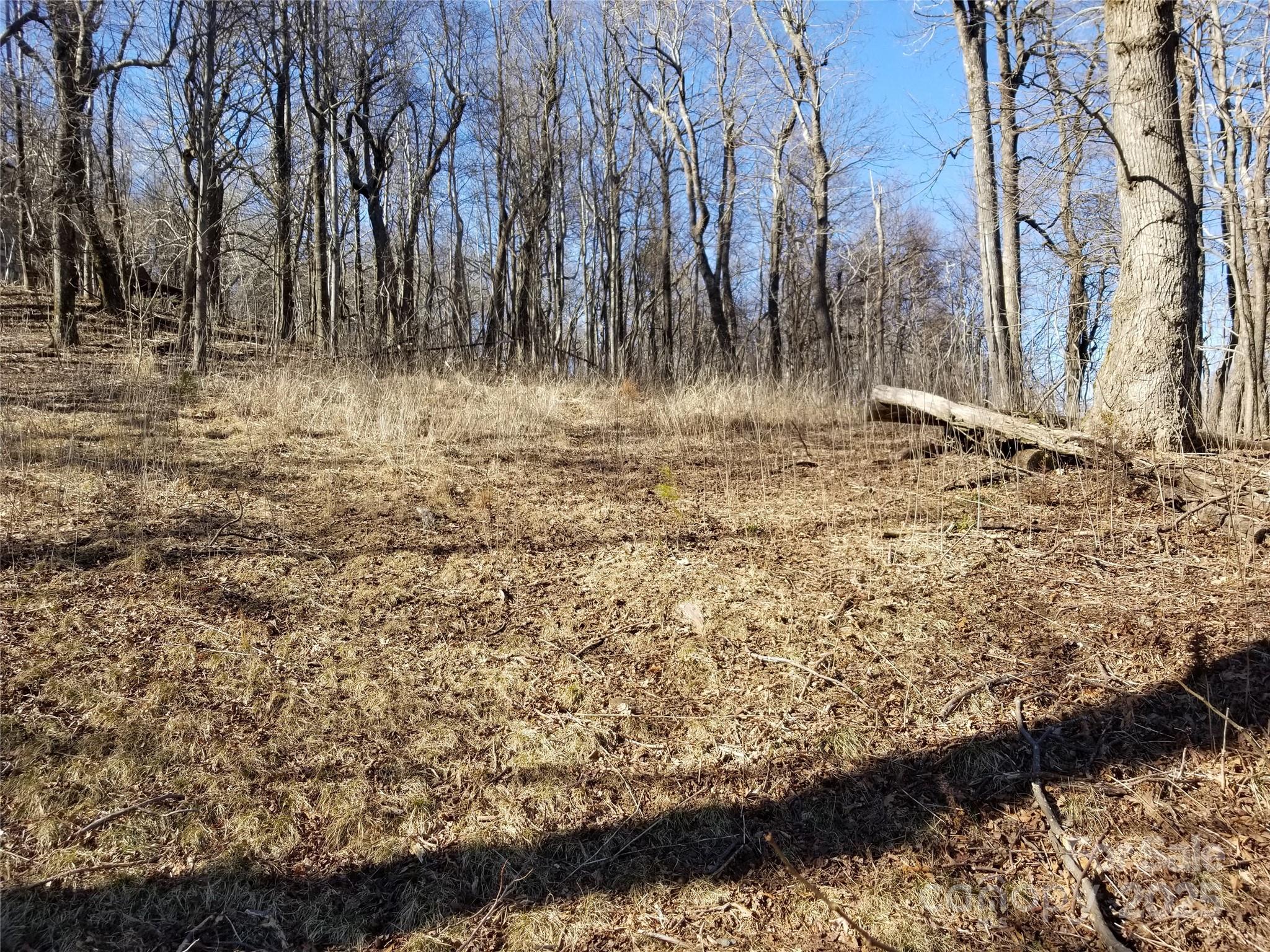 1.1 Acre Blockaders Den Road Columbus NC 28722