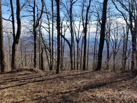 1.1 Acre Blockaders Den Road Columbus NC 28722