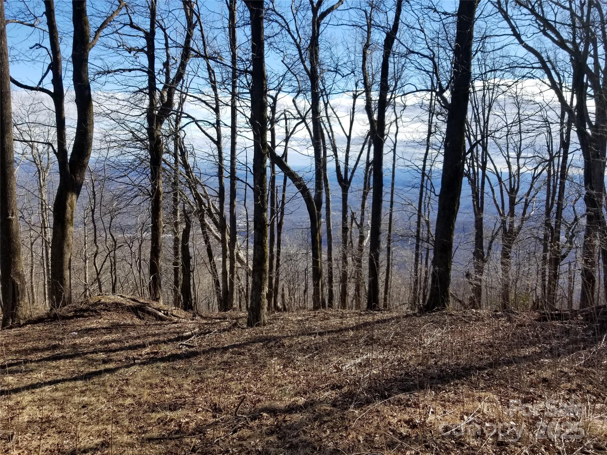 1.1 Acre Blockaders Den Road Columbus NC 28722