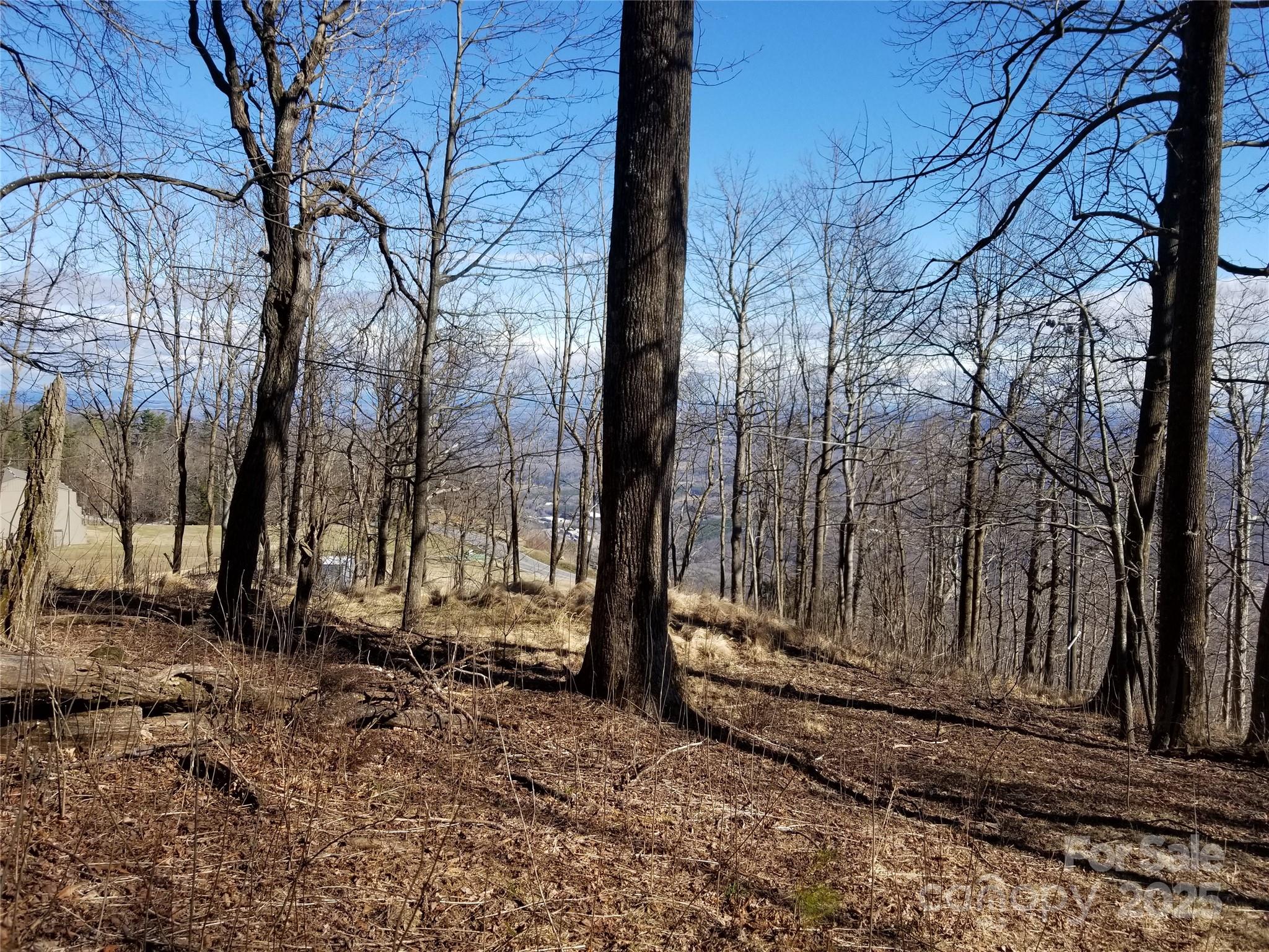 1.1 Acre Blockaders Den Road Columbus NC 28722