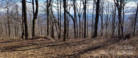 1.1 Acre Blockaders Den Road Columbus NC 28722