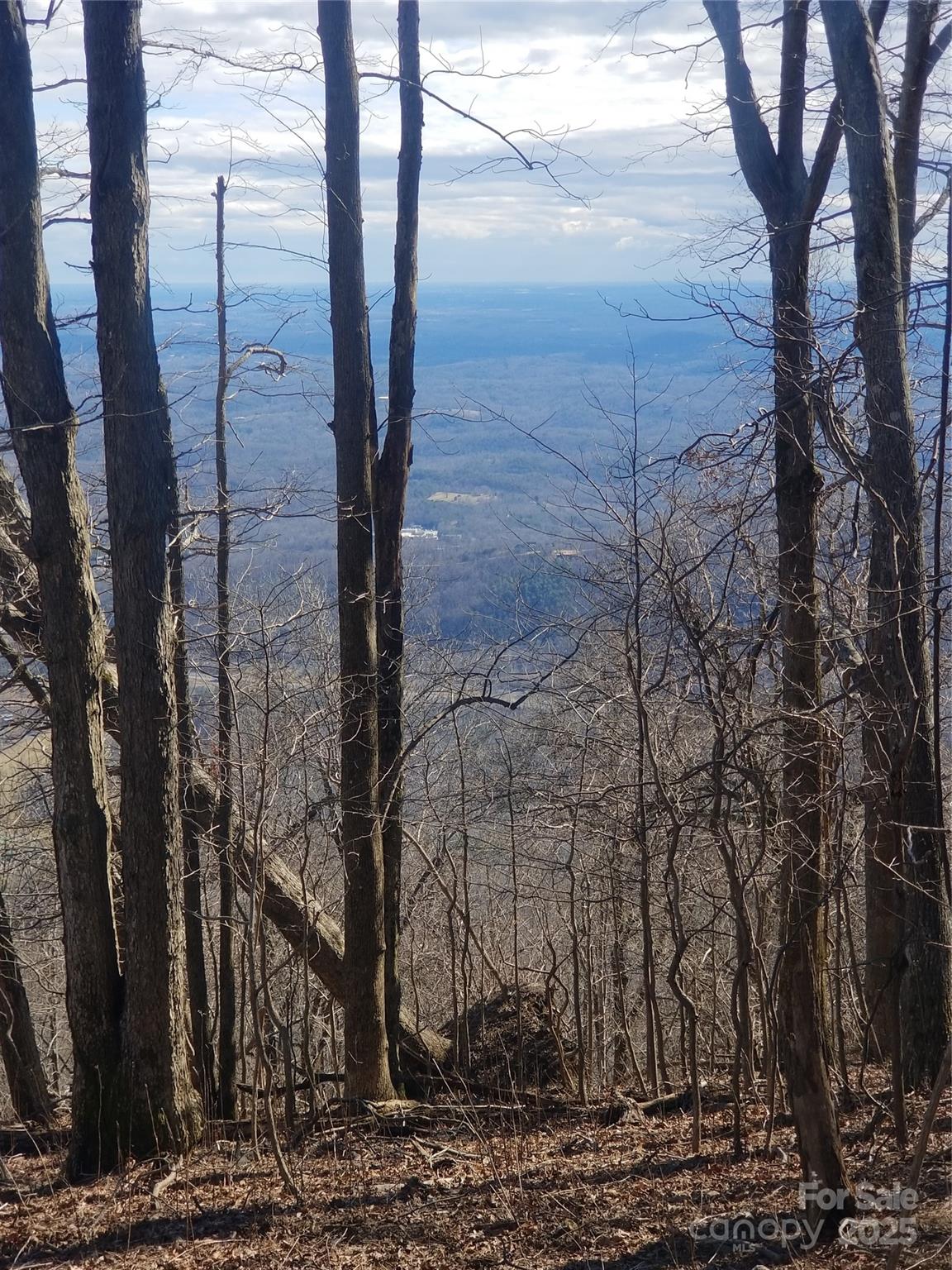1.1 Acre Blockaders Den Road Columbus NC 28722