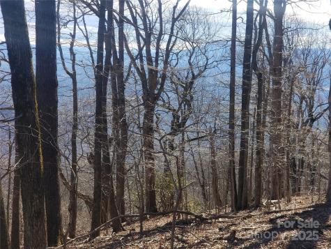 1.1 Acre Blockaders Den Road Columbus NC 28722