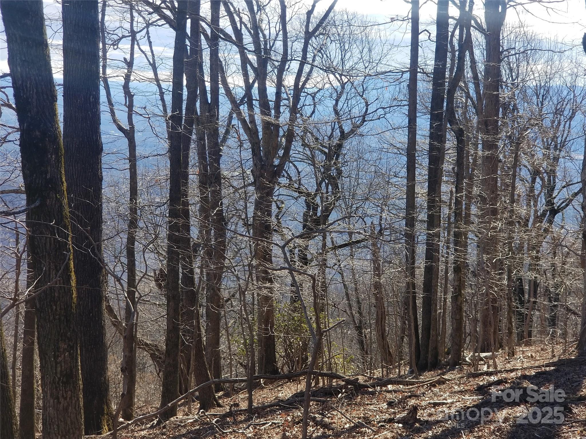1.1 Acre Blockaders Den Road Columbus NC 28722