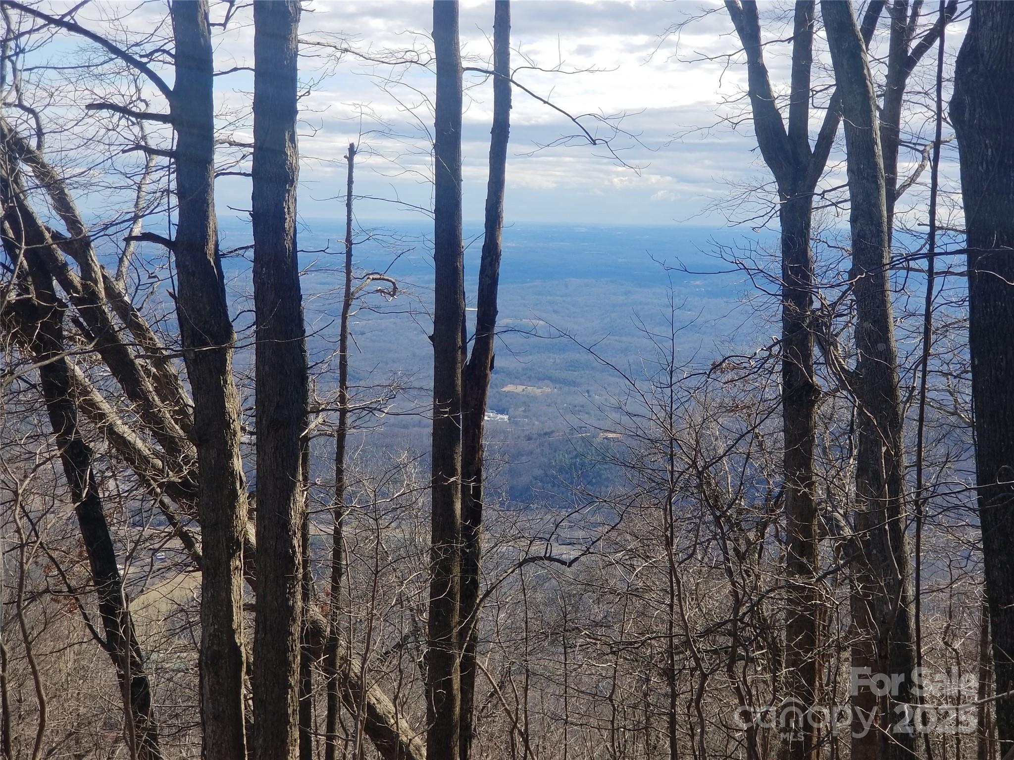 1.1 Acre Blockaders Den Road Columbus NC 28722