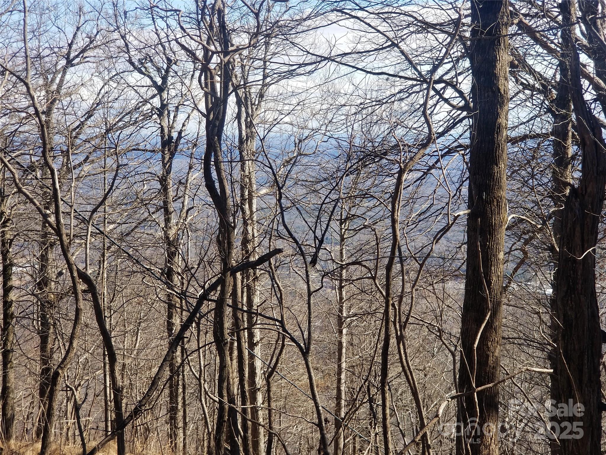 1.1 Acre Blockaders Den Road Columbus NC 28722