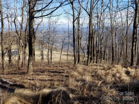 1.1 Acre Blockaders Den Road Columbus NC 28722
