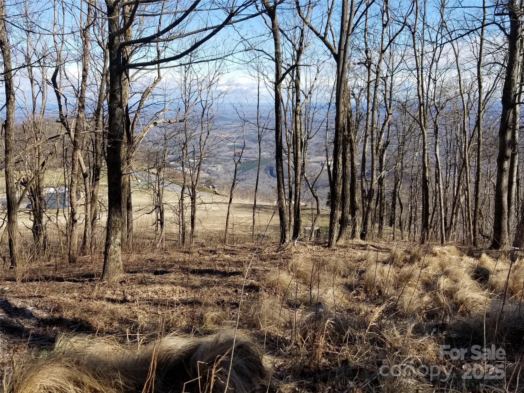 1.1 Acre Blockaders Den Road Columbus NC 28722