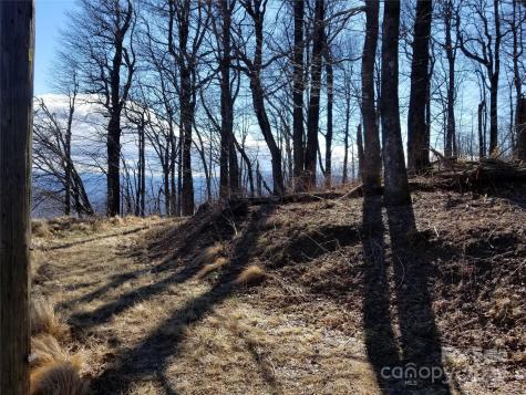 1.1 Acre Blockaders Den Road Columbus NC 28722