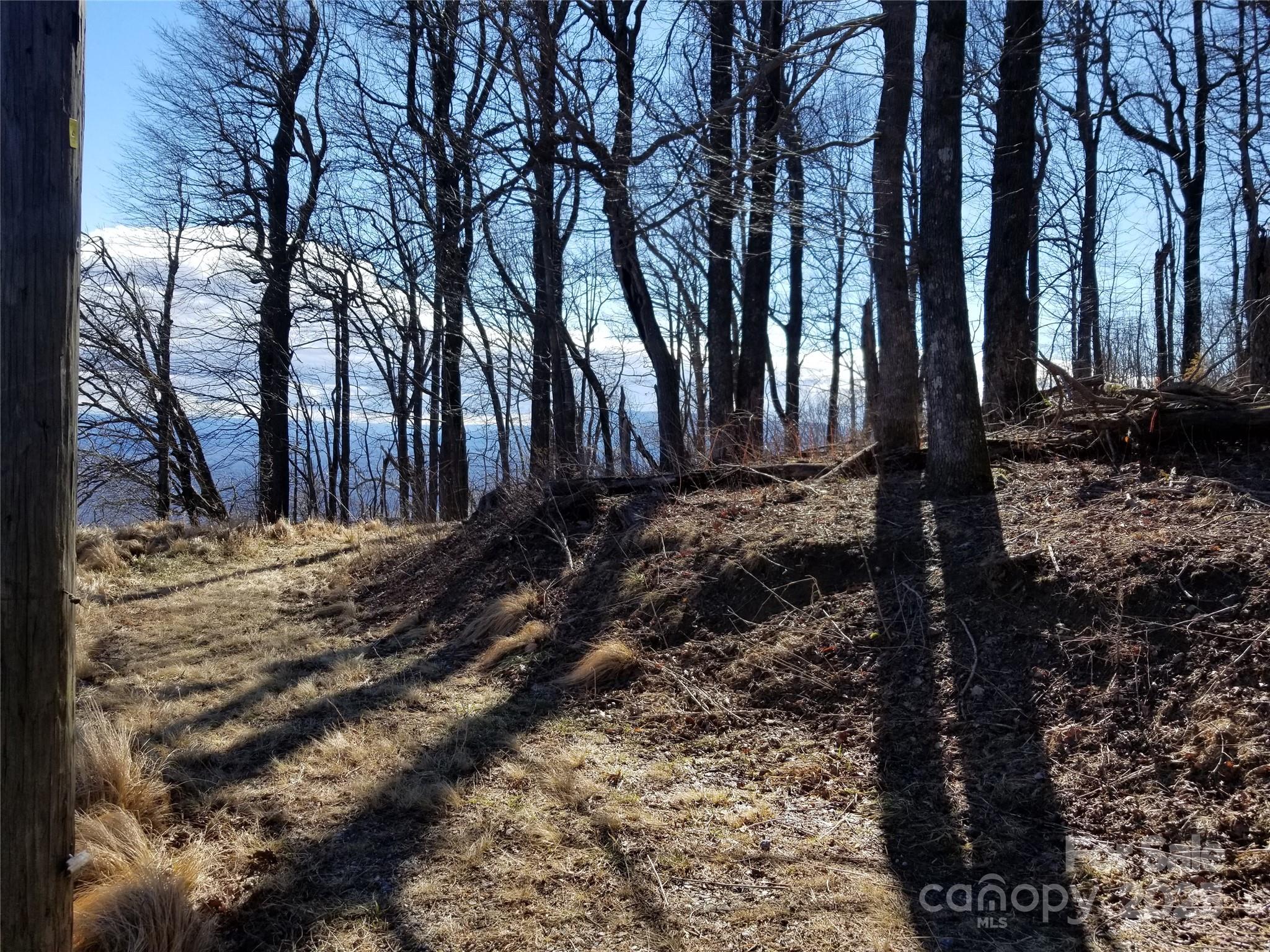 1.1 Acre Blockaders Den Road Columbus NC 28722