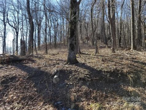 1.1 Acre Blockaders Den Road Columbus NC 28722